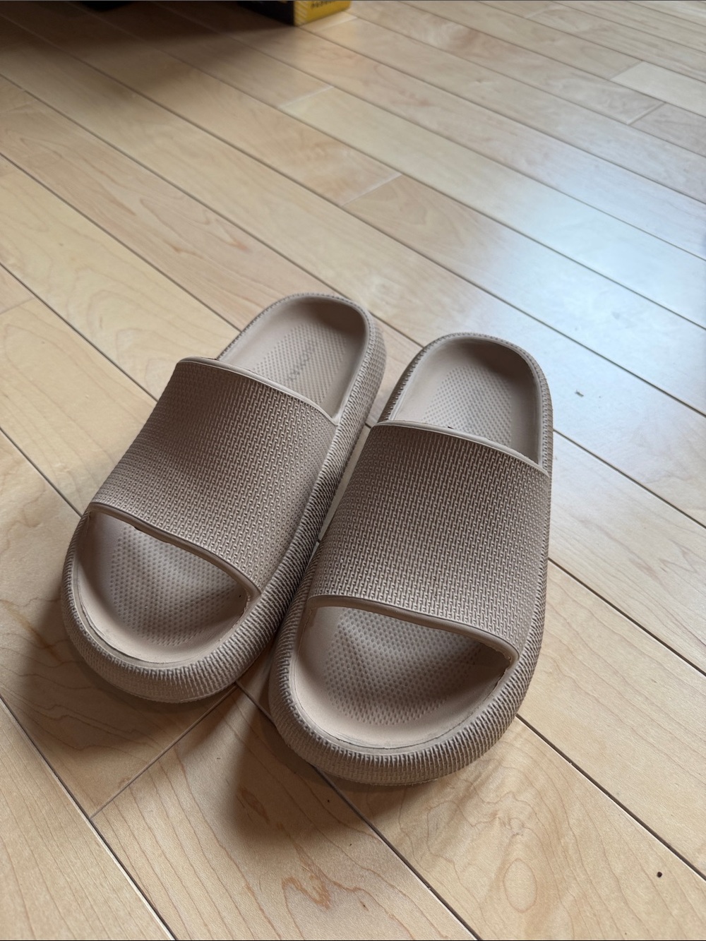 pillow slippers